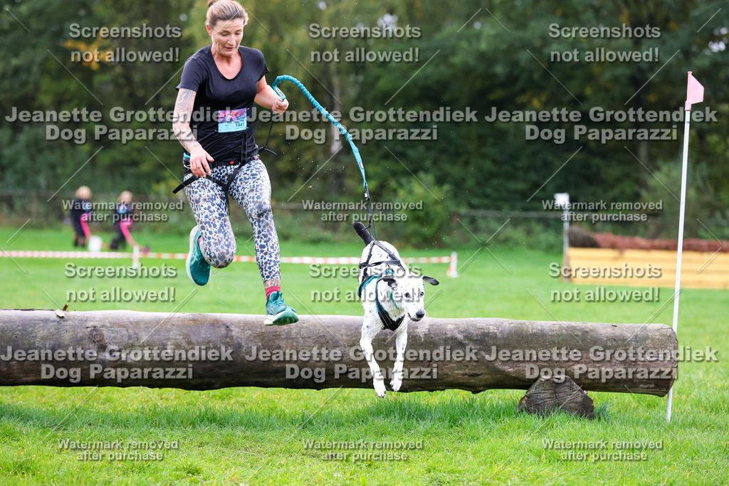 Dog Paparazzi -  SD1026-1039 | Dog Paparazzi Jeanette Grottendiek Fotografie & Videografie - Realisiert mit Pictrs.com