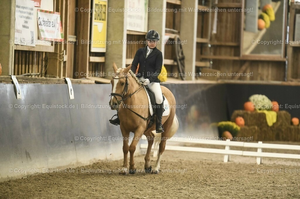 20231029_02_Reiter-WB_Schritt-Trab-Galopp_Abteilung-01_0037 | Foto: Thomas Hartig