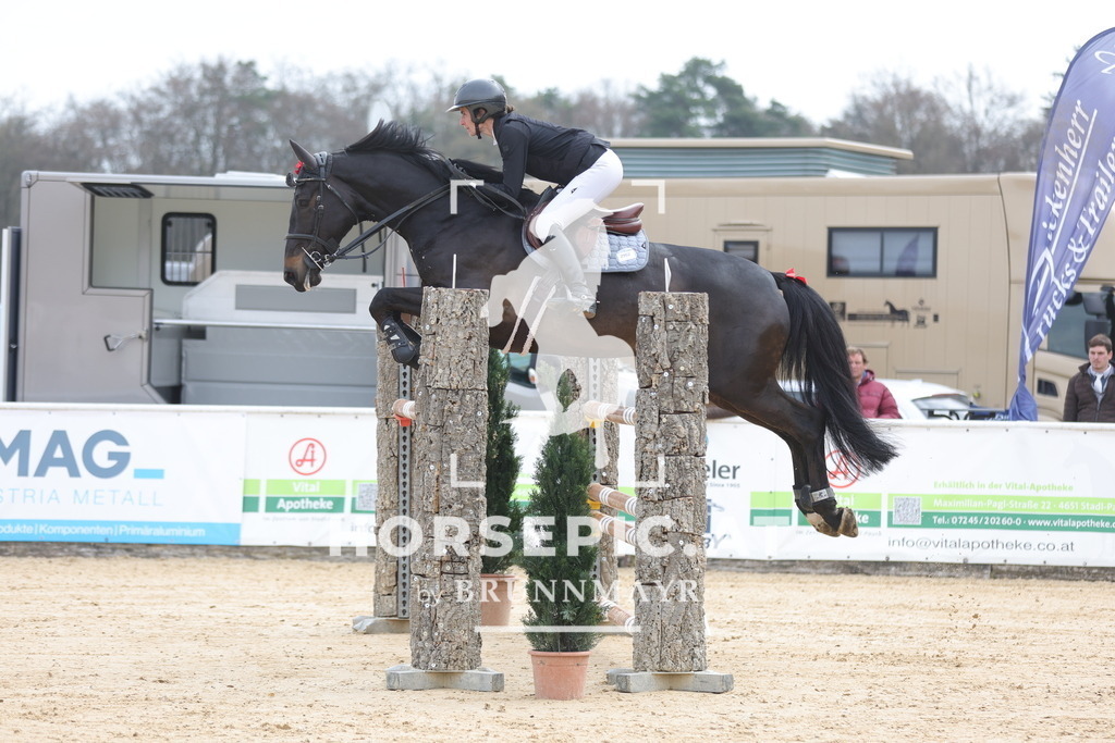0P6A5335 | Willkommen bei Brunnmayr - Design & Fotografie – Ihrem Spezialisten für Reitturniere und Pferdeveranstaltungen in Oberösterreich, Salzburg und Bayern! Seit über 17 Jahren sind wir leidenschaftlich dabei.