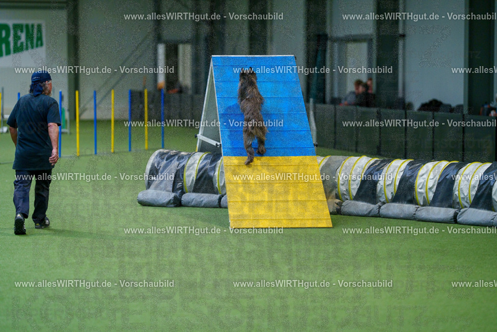 @allesWIRTHgut_Tierfotografie - www.allesWIRTHgut.de - 2604250850-7R507889 | Professionelle Tierfotografie in Mönchengladbach von Daniel Wirth (allesWIRTHgut). Liebevolle & natürliche Bilder von Hunden & Katzen für unvergessliche Erinnerungen.