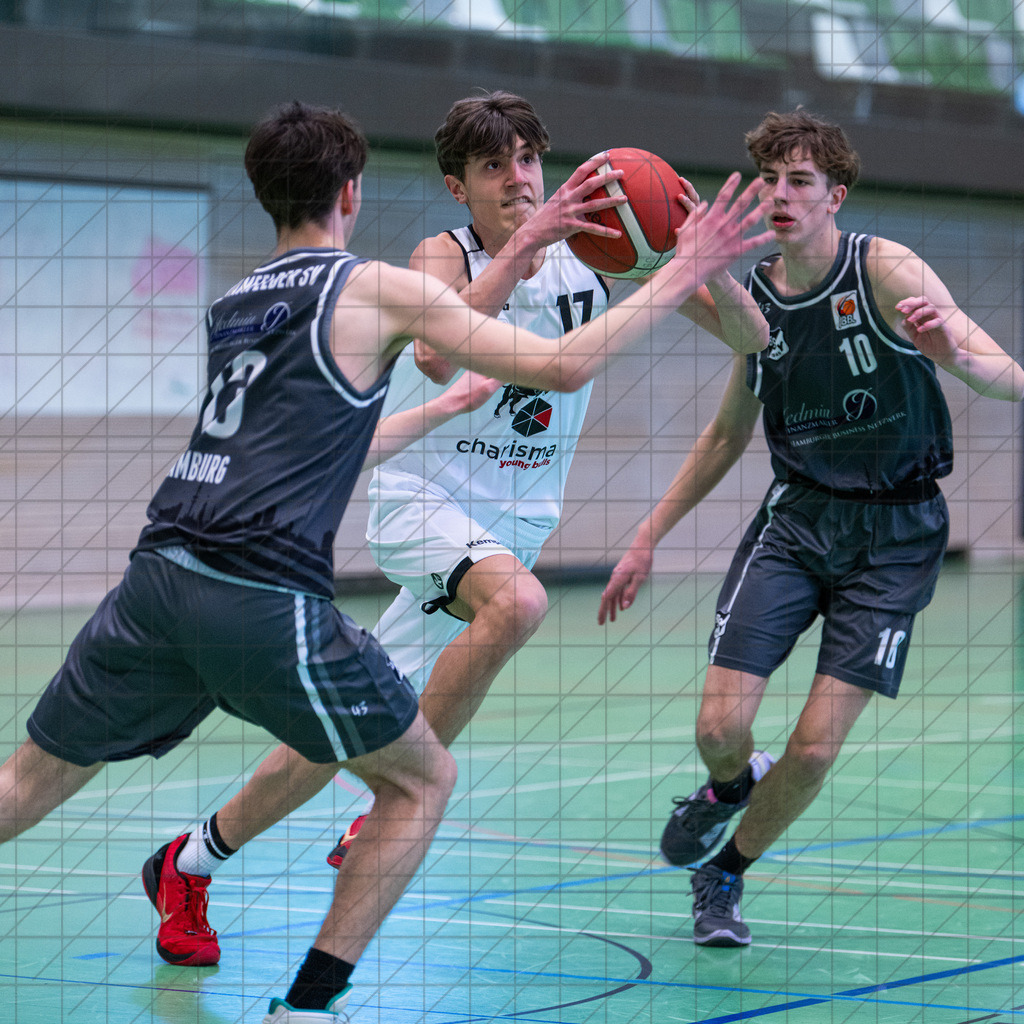 JBBL 24/25 | 02.02.2025 | Charisma Young Bulls vs. Bramfelder SV  | JBBL 24/25 | 02.02.2025 | Charisma Young Bulls vs. Bramfelder SV - - - - - CREDIT, www.bullenfotos.de, Martin König, Hörner Weg 40, D-49078 Osnabrück, +4917663732967, Nutzung und Weitergabe nur zu den vereinbarten Zwecken. Presseanfragen an Urheber. Alle Rechte beim Urheber. - - - - - - Realisiert mit Pictrs.com