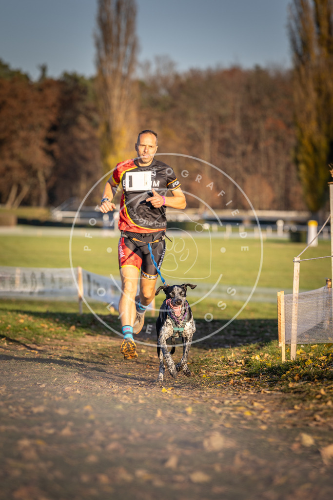 CaniXpix_DV3A4224 | Hundefotografie, Tierfotograf, Pfotenfotografie, Fotoshooting Hund, Hunde Portrait, Hundesport, Hundeportraits, Heideshooting, Hunde, Sportfotograf, Hundefotograf, Turnierhundsport, THS,  - Realisiert mit Pictrs.com