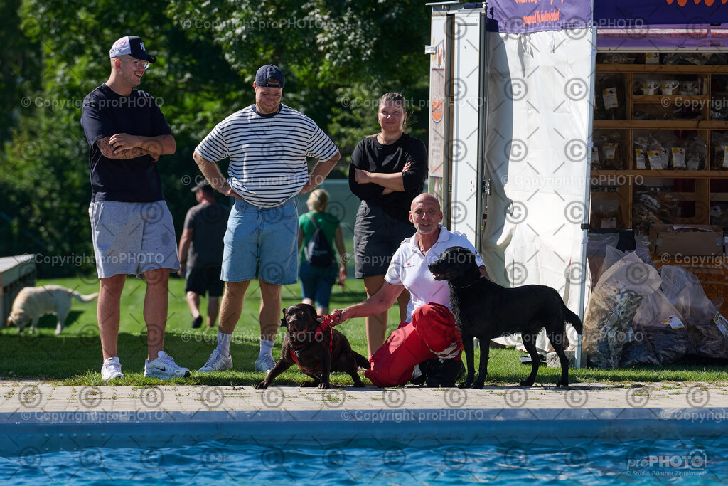 139_202509_4Hundebadetag_NZ9_2560 | proPHOTO - Realisiert mit Pictrs.com