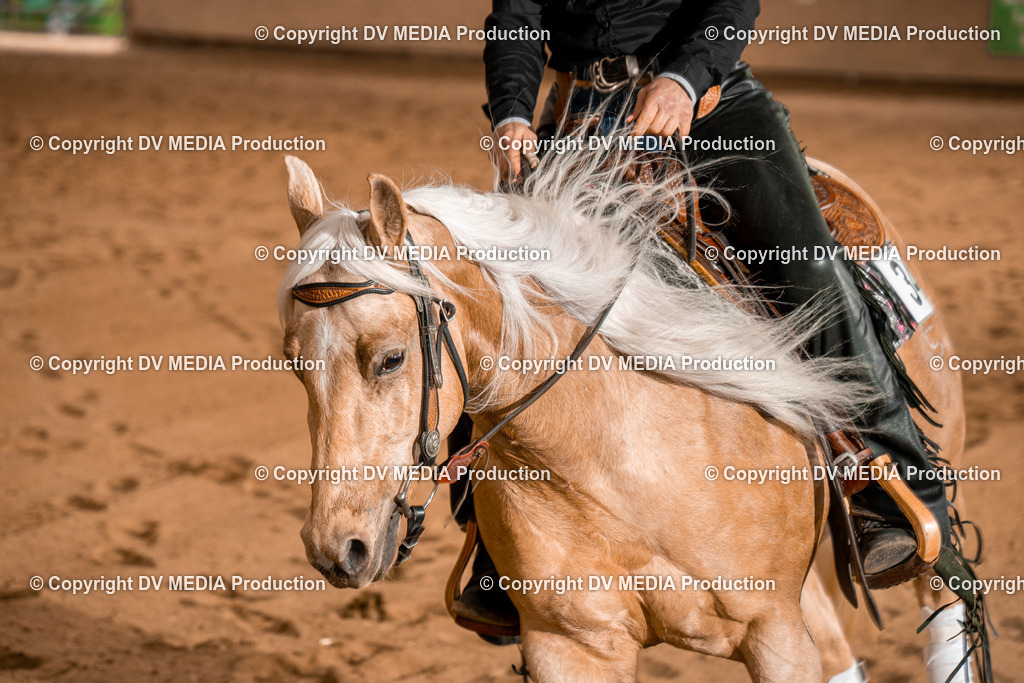 BA400544 | dv-media-shop - Realisiert mit Pictrs.com