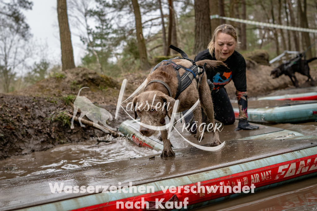 1248DSC_8327-2 | kk-dogfotos