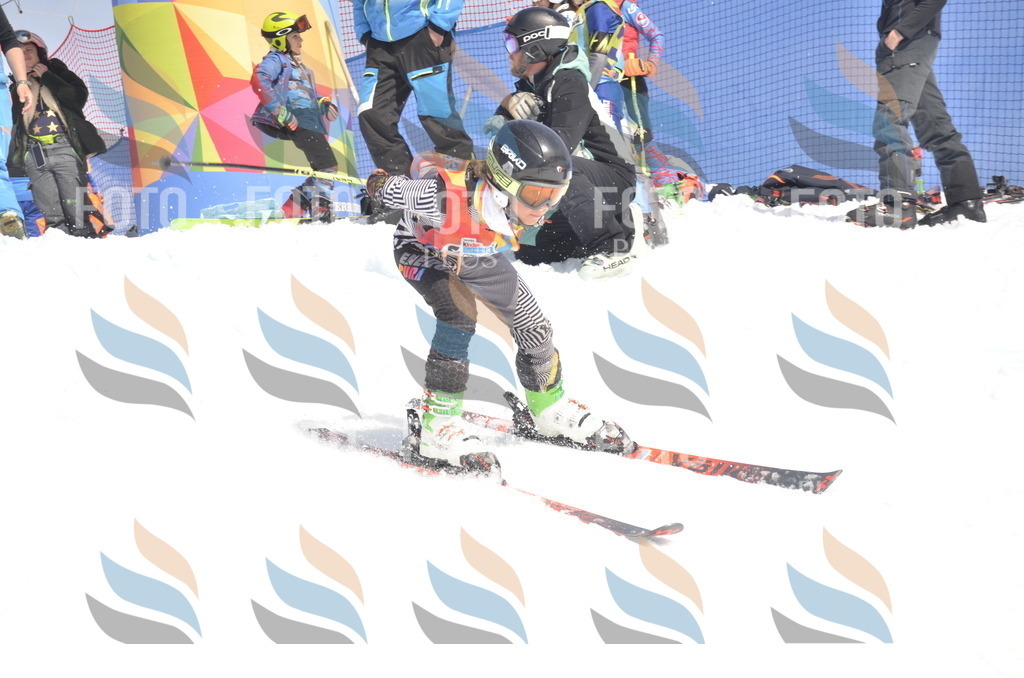 _ELE9244 | holidayphoto