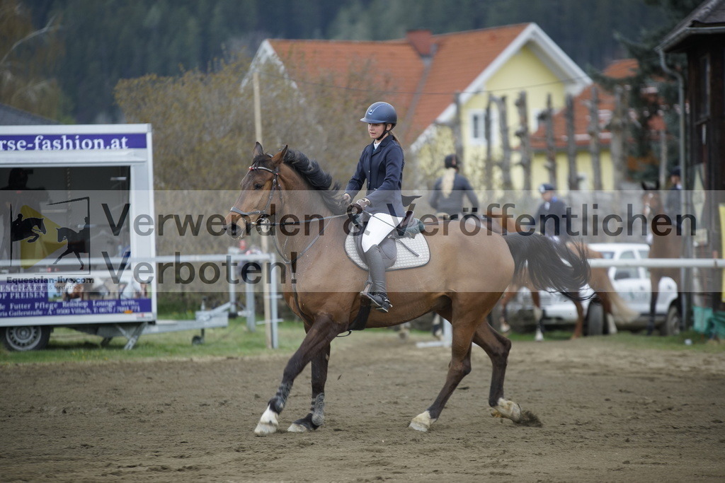 _DSC8256 | equestrian-live-com
