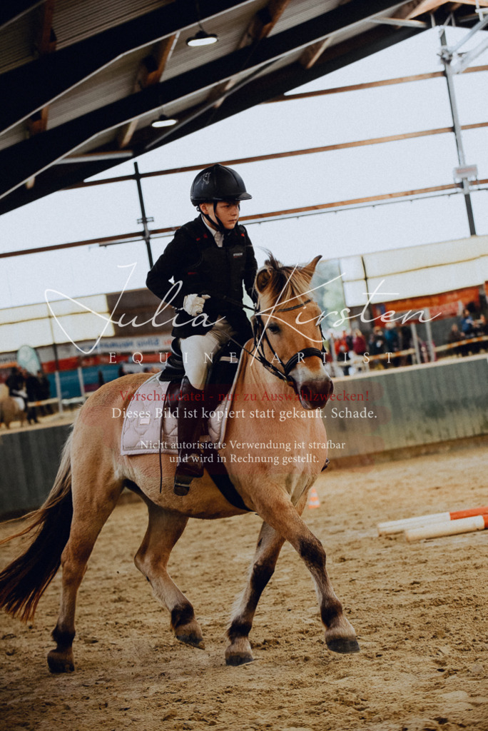 DSC_6819 | Pferde- und Turnierfotografie in Westsachsen. Pferdeportraits, Auftragszeichnungen und intuitive Kunst.