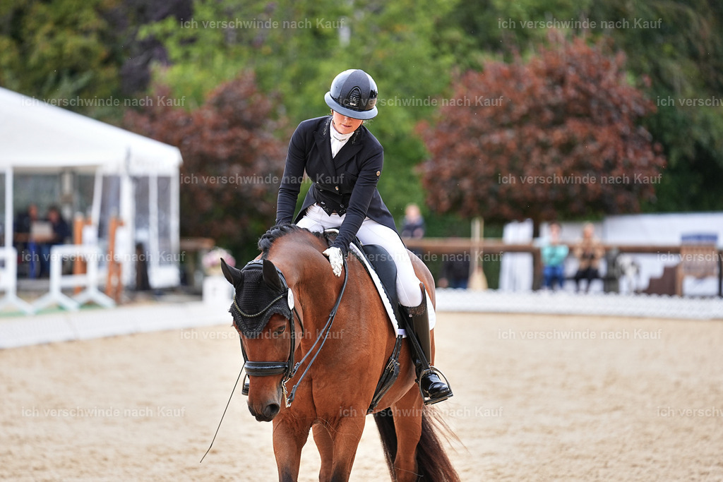 11-189-Dressur S___-Marixx-1790 | working equitationturnier fotograf videograf stoibphotography marixx film working equitation deutschland reitsport turnierfotografie eventfotografie equestrian events