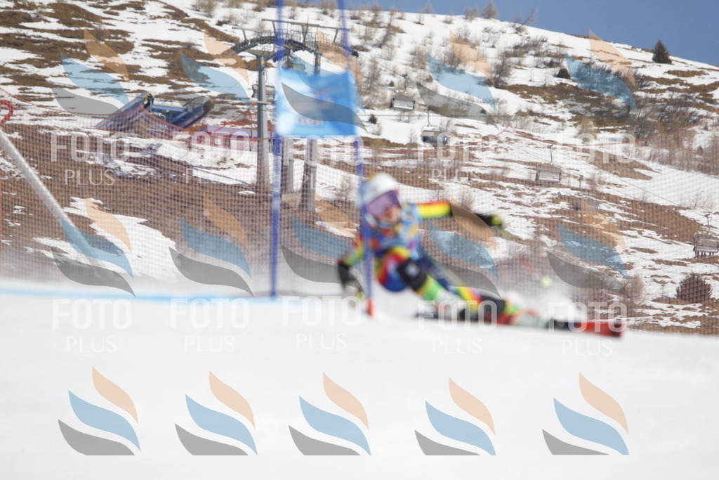 _U3G8867 | holidayphoto