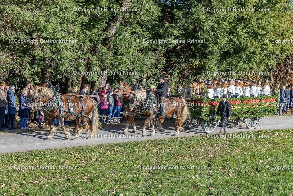 LBT25-247 | foto-bettina-krinner - Realisiert mit Pictrs.com