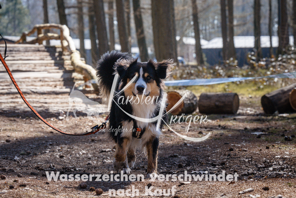 1301_ZZ94297 | kk-dogfotos