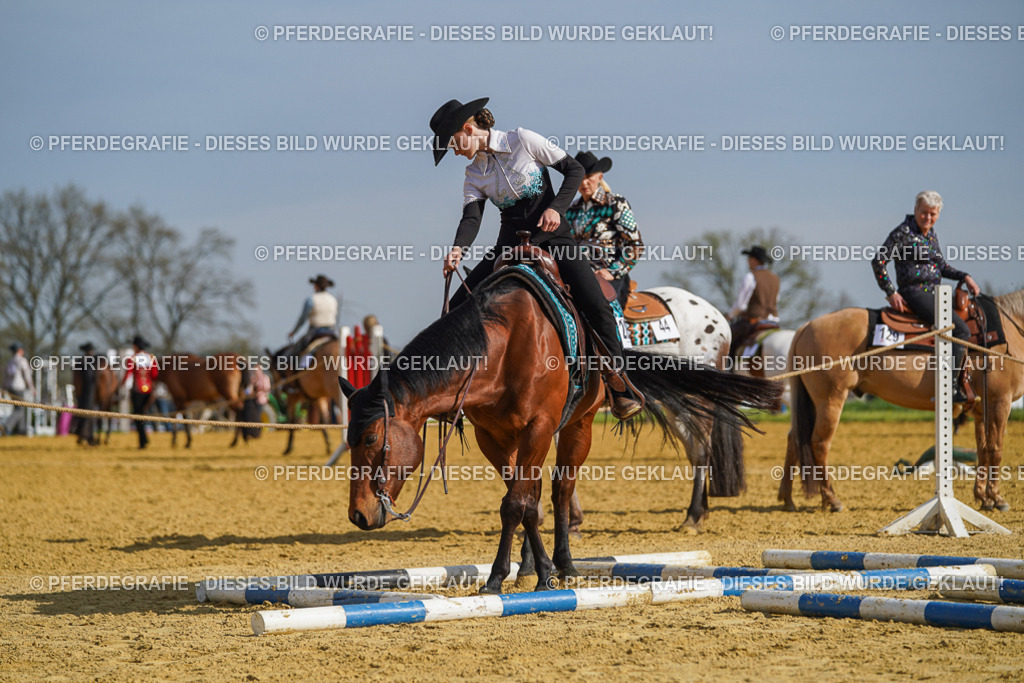 DSC01188 | Pferdegrafie