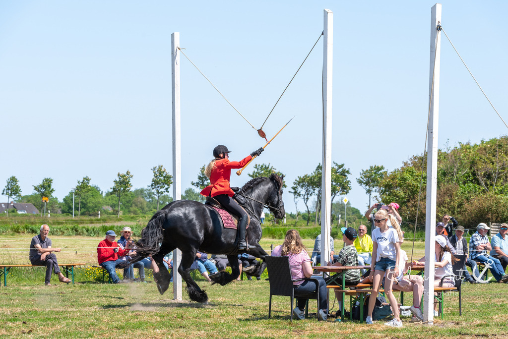 EAF_2461 | Eilun-Art-Fotografie Levke Martens, ihre Fotografin für Immobilien- und Landschaftsfotografie auf Föhr, Föhrer Motive als Poster, Leinwand, hinter Acrylglas oder stelle dir deinen eigenen Monatskalender zusammen, mit nur einem Klick