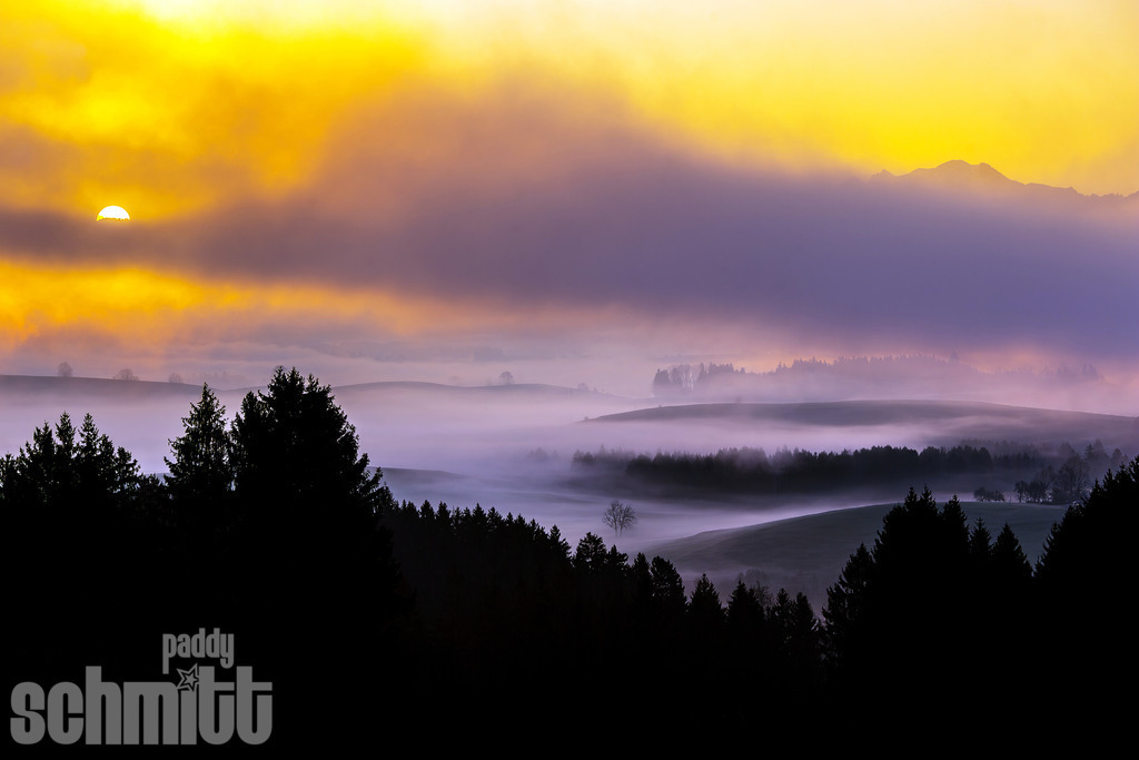Morgennebel mit Sonnenaufgang im hügeligen Allgäu | Mystischer Morgennebel liegt über den sanften Hügeln des Allgäus, während die aufgehende Sonne die Landschaft in warmes Licht taucht. Eine stimmungsvolle Aufnahme mit einer ganz besonderen Atmosphäre. - Realisiert mit Pictrs.com