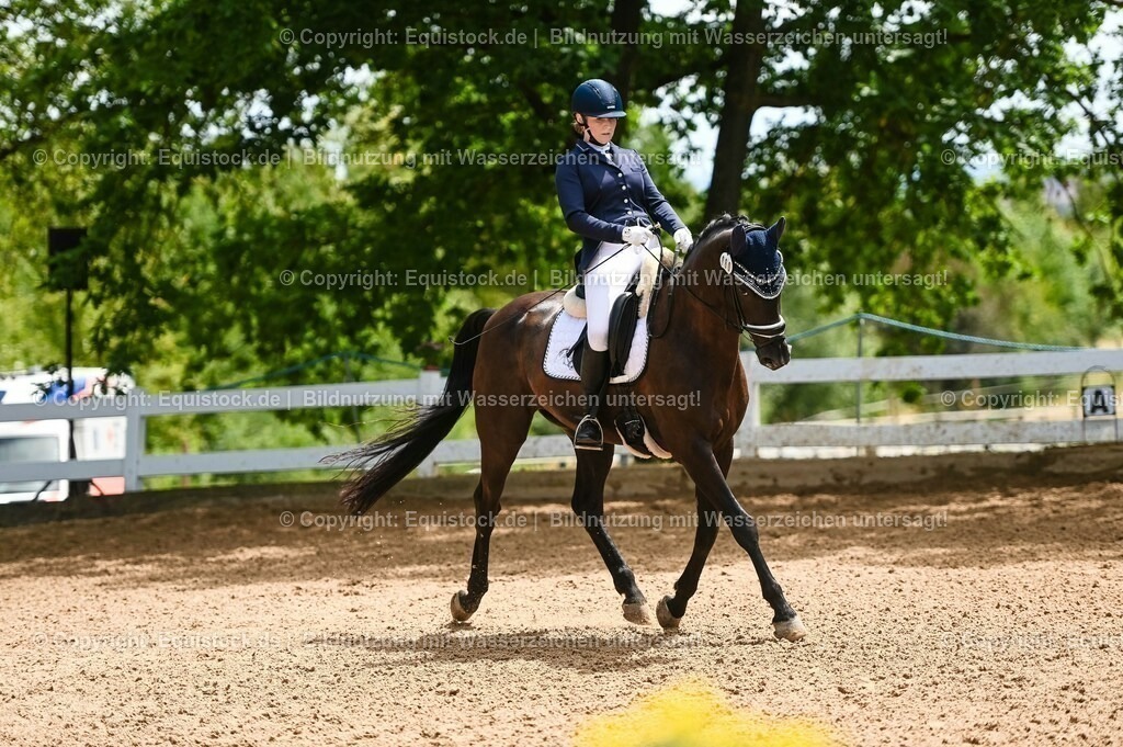 20230716_03_Dressurprfg. Kl.L - Tr._0597 | equistock