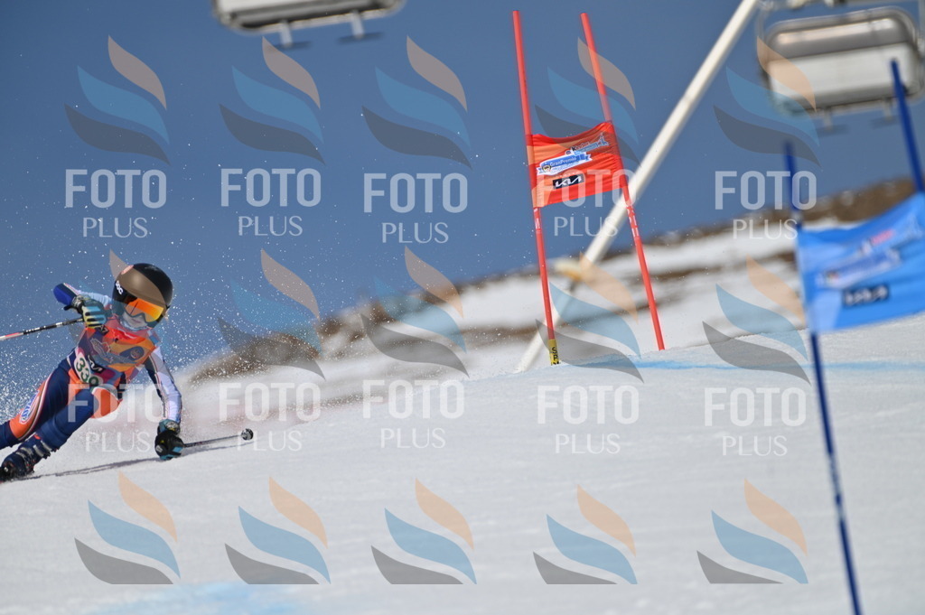 BGV_6711 | holidayphoto