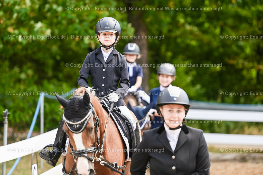 20230716_11_Führzügel-WB_0167 | equistock