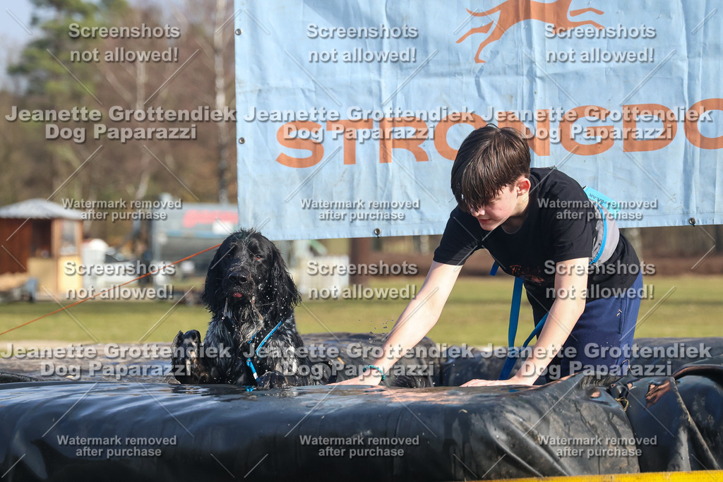 Dog Paparazzi - Strongdog North Mrz26-2493 | Dog Paparazzi Jeanette Grottendiek Fotografie & Videografie - Realisiert mit Pictrs.com