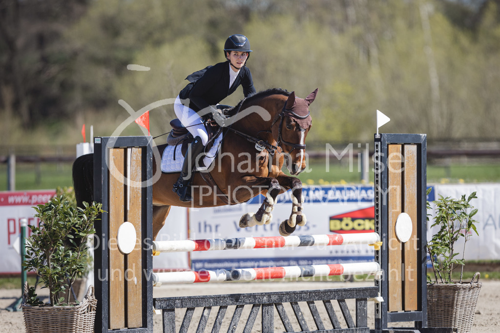 220416_3_A-Springen2-432 | Frühlingsfest der Pferde
Herford
16.April 2022
03/2 Sprigprüfung mit steigenden Anforderungen Kl. A** geschlossen 44-481 RLP