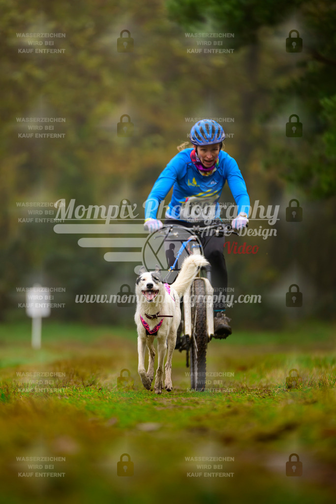 MompixPhotography_Bischwiller2025_Bike-96 | mompixphotography