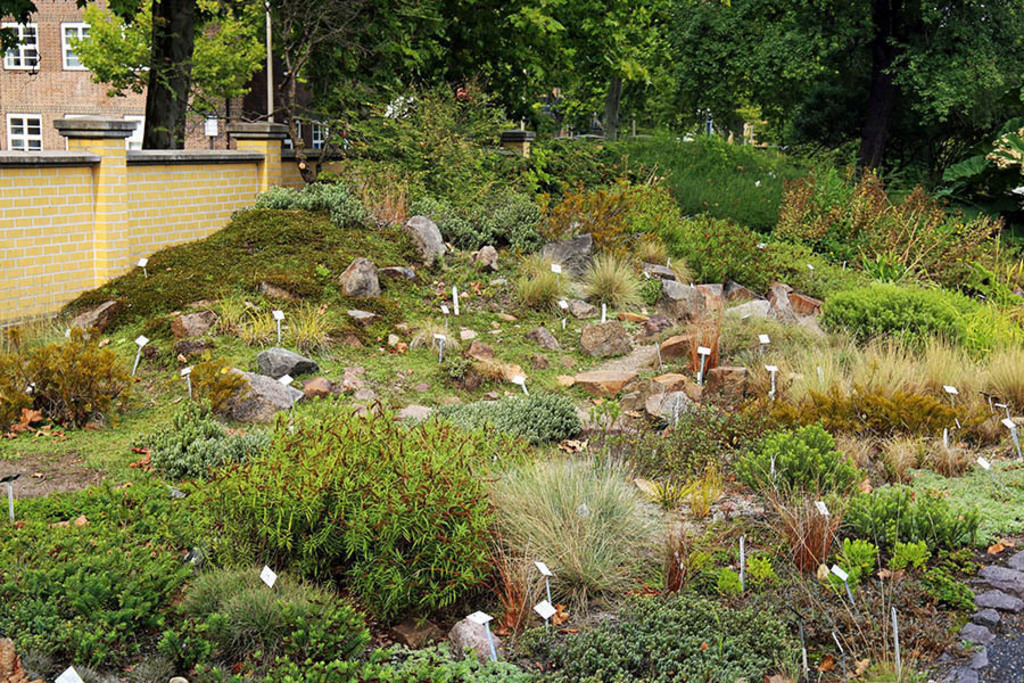 Bildlexikon Leipzig - Botanischer Garten der Universität Leipzig | Das Team hinter BILDLEXIKON LEIPZIG bündelt historische wie aktuelle Informationen über die Stadt Leipzig in Text und Bild auf einer Plattform und stellt diese der interessierten Öffentlichkeit zur Verfügung.