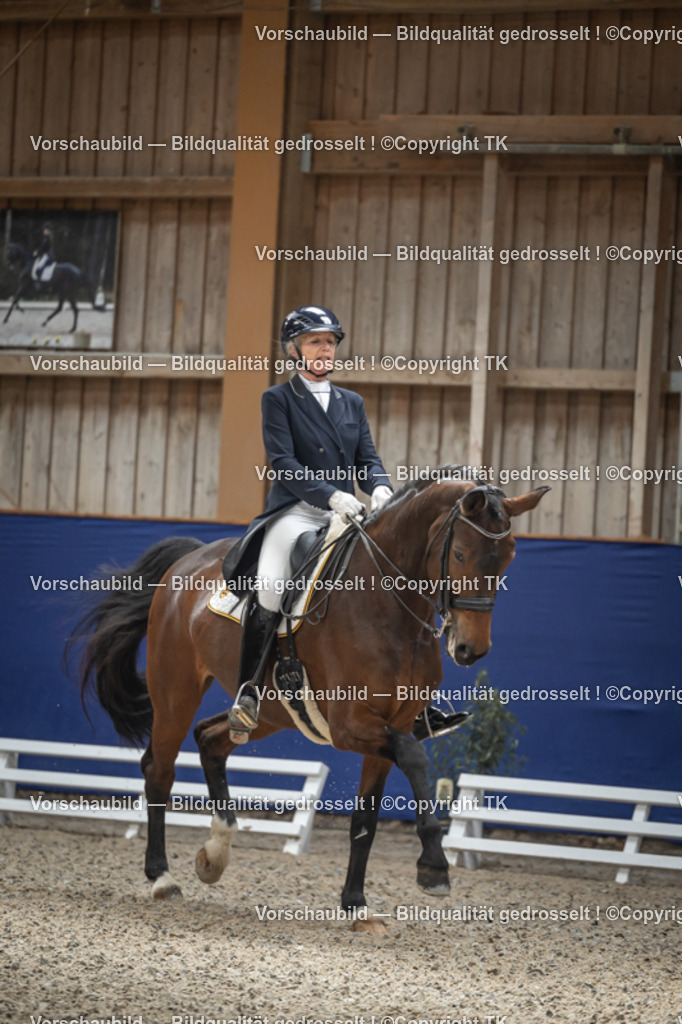 _D5A0354 | Emotionale Pferde- & People-Fotografie rund um Heidelberg, Leimen & Umgebung. Natürliche Fotos von Pferd, Mensch & Familie. Jetzt Termin sichern!