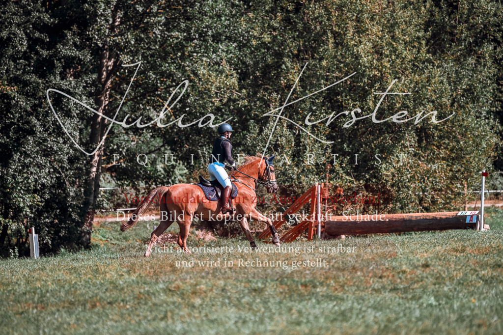 DSC_0791 | Pferde- und Turnierfotografie in Westsachsen. Pferdeportraits, Auftragszeichnungen und intuitive Kunst.