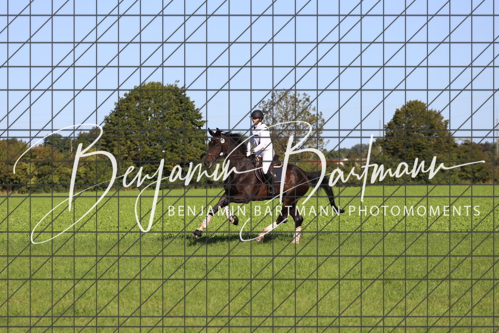 IMG_6847 | Benjamin Bartmann Photomoments