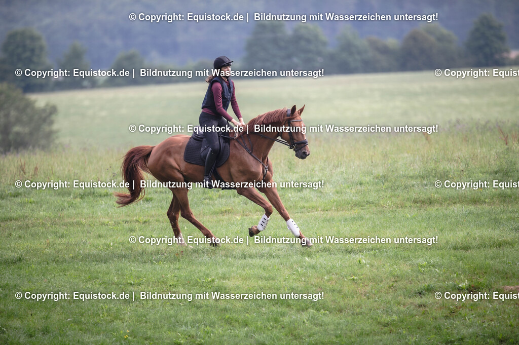 20250726_Vielseitigkeitslehrgang-Marbach_0122 | Foto: Thomas Hartig