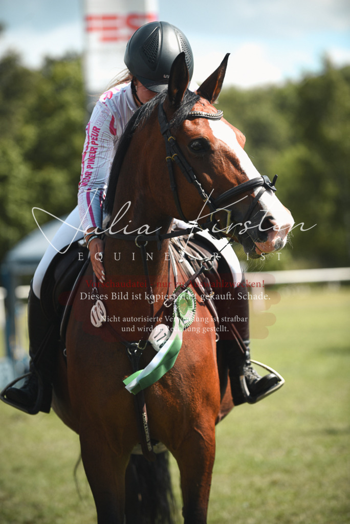 DSC_6834 | Pferde- und Turnierfotografie in Westsachsen. Pferdeportraits, Auftragszeichnungen und intuitive Kunst.