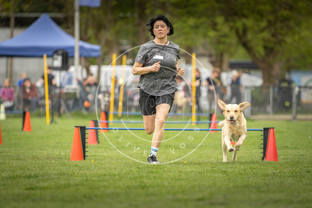 Pfotenfotografie_DV3A0581 | Hundefotografie, Tierfotograf, Pfotenfotografie, Fotoshooting Hund, Hunde Portrait, Hundesport, Hundeportraits, Heideshooting, Hunde, Sportfotograf, Hundefotograf, Turnierhundsport, THS,  - Realisiert mit Pictrs.com