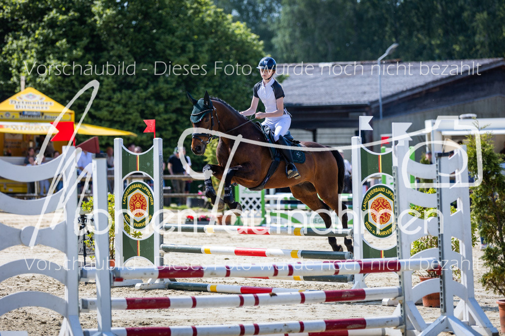 Donop24-ESpr-037 | MomenTaufnahmen Pferdesportfotos