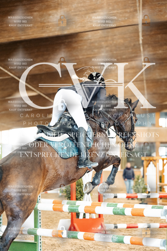 CK905348 | Turnierfotografie Pferdefotografie Trier Rheinland-Pfalz Pferdesport Reitsport Tierfotografie Sportfotografie Pferdevideo Pferdevideografie Equestrianvideography equestrianphotography  - Realized with Pictrs.com