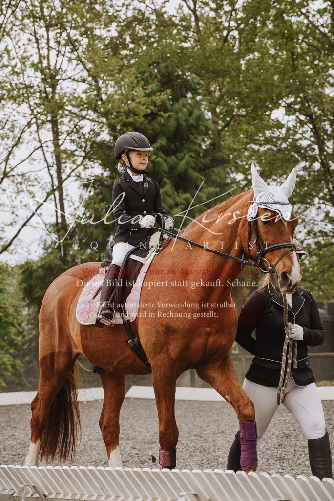 DSC_9827 | Pferde- und Turnierfotografie in Westsachsen. Pferdeportraits, Auftragszeichnungen und intuitive Kunst.