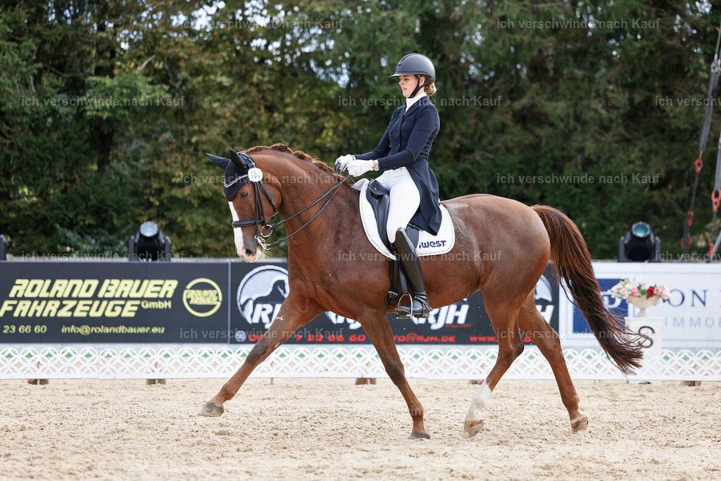 6-163-AMATUER-DRESSUR S_  -StoibPH-3471 | working equitationturnier fotograf videograf stoibphotography marixx film working equitation deutschland reitsport turnierfotografie eventfotografie equestrian events
