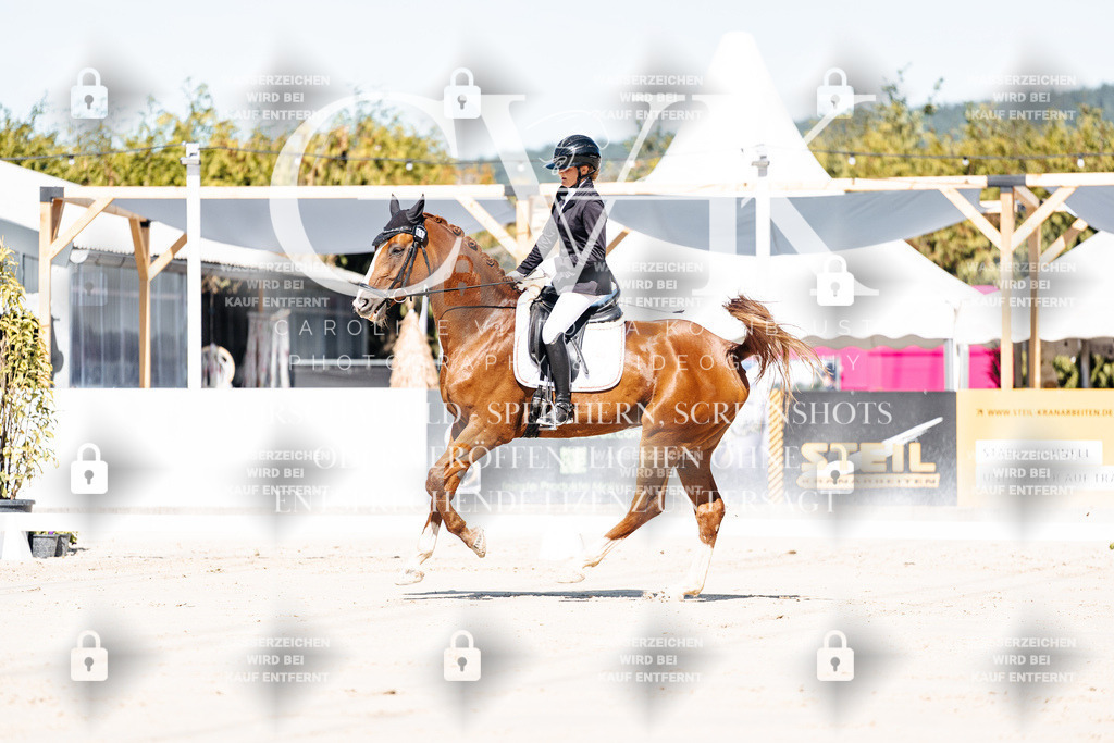 CK908925 | Turnierfotografie Pferdefotografie Trier Rheinland-Pfalz Pferdesport Reitsport Tierfotografie Sportfotografie Pferdevideo Pferdevideografie Equestrianvideography equestrianphotography  - Realisiert mit Pictrs.com