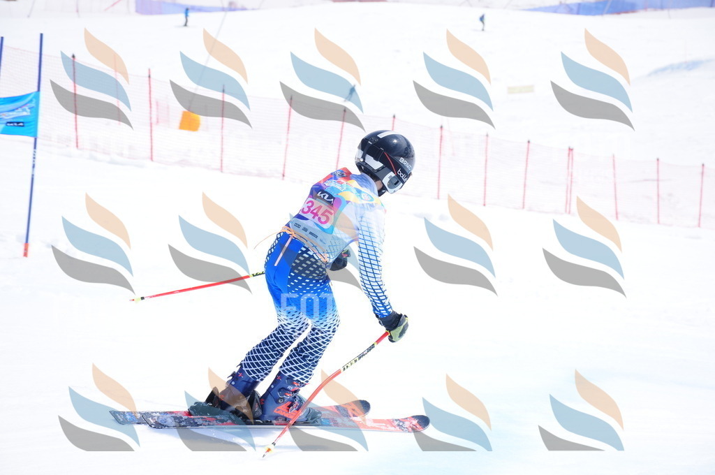 DSC_7083 | holidayphoto