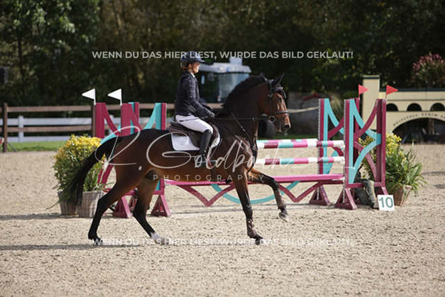 1J2A8656Antonia Selina Brinkop_ Max T_ Kn712_ Havekost | Foto- und Videografie für alles rund ums Pferd. Hochwertige Bilder und Videos vom Spring- und Dressurreiten, Voltigieren & mehr. Jetzt aktuelle Veranstaltungen und Preise im Shop ansehen. - Realisiert mit Pictrs.com