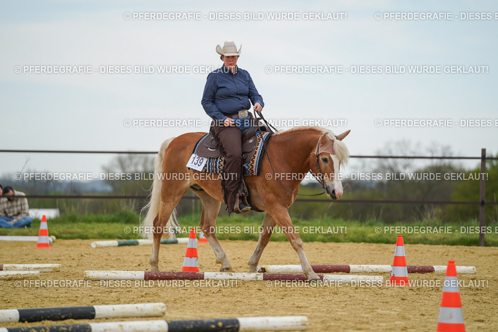 DSC02783 | Pferdegrafie