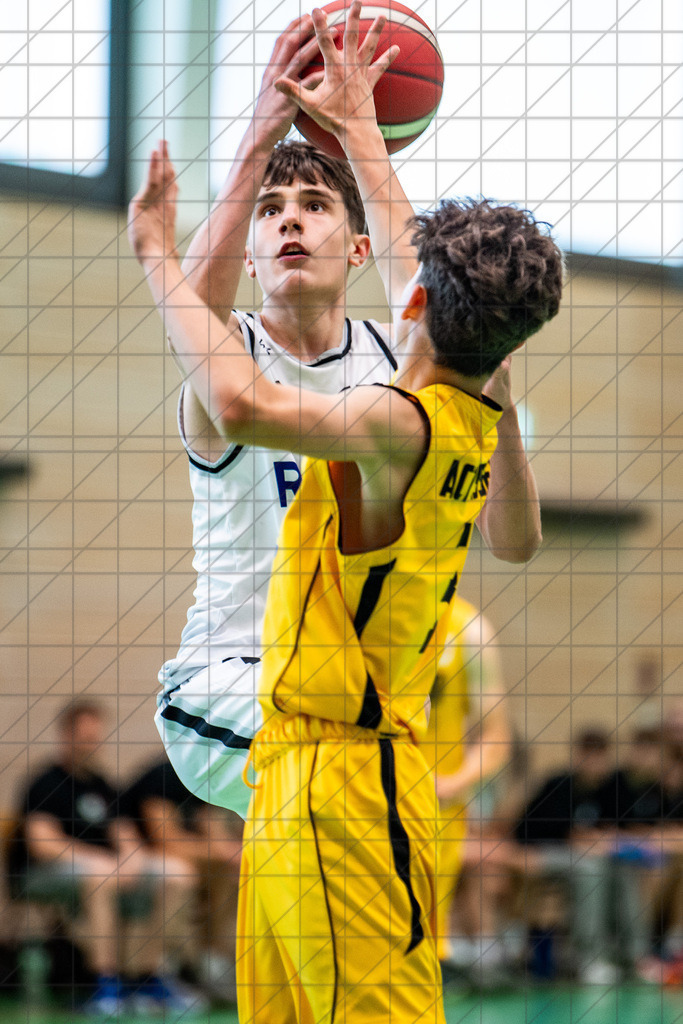 @Martin König_20240623__DSC3741 | bullenfotos|de - Realisiert mit Pictrs.com