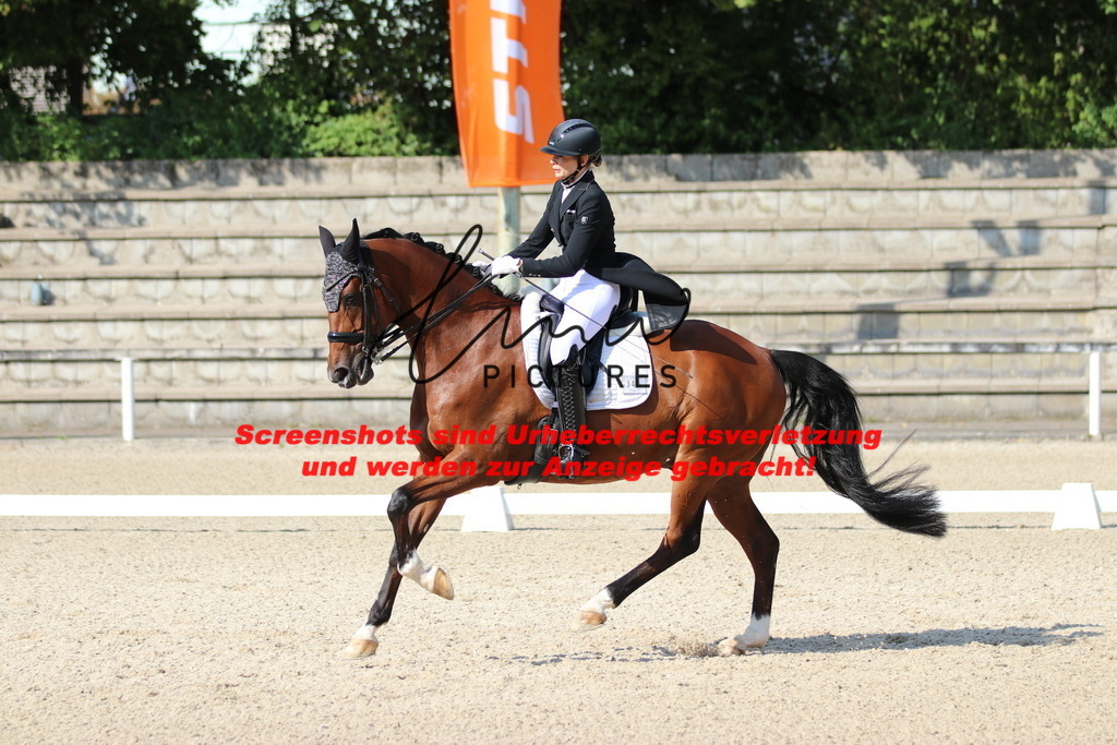 IMG_9137 | lmwpictures - Realisiert mit Pictrs.com