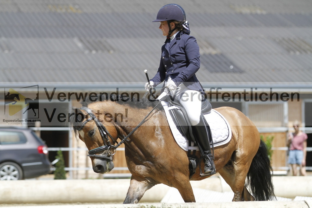 _MG_1030 | equestrian-live-com