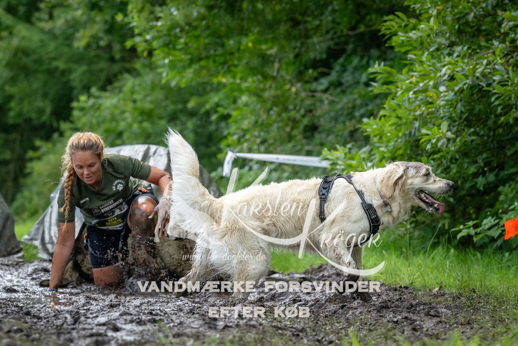 1136_ZZ93701 | kk-dogfotos