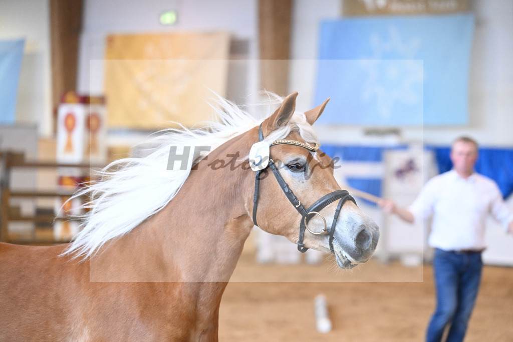 Kat-Nr. 5 Wayana v. Starkwind_Aigner_60221098 | hf-fotografie - Realisiert mit Pictrs.com