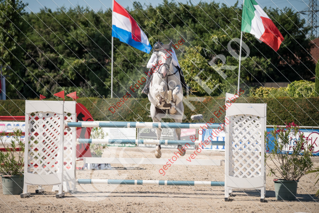 DSC_3545 | Sport-, Event- und Tierfotos in Profiqualität. Einfach auswählen, bestellen und herunterladen. Dein Moment – perfekt festgehalten.
