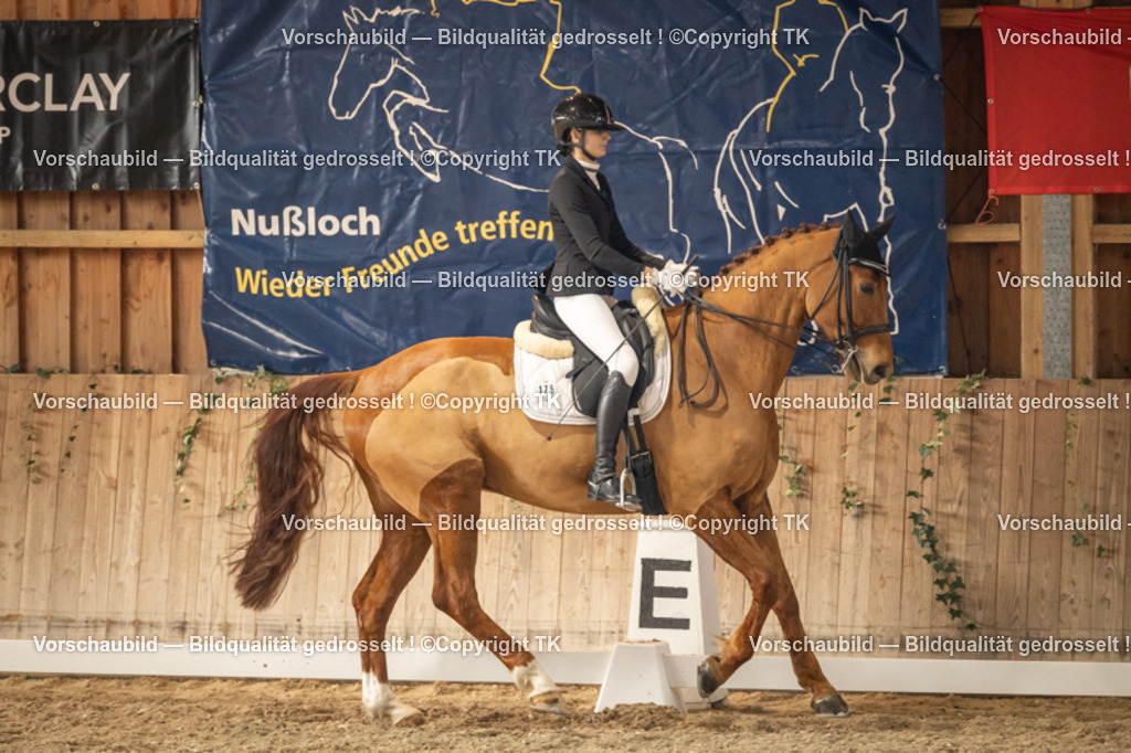 _D5A9590 | Emotionale Pferde- & People-Fotografie rund um Heidelberg, Leimen & Umgebung. Natürliche Fotos von Pferd, Mensch & Familie. Jetzt Termin sichern!