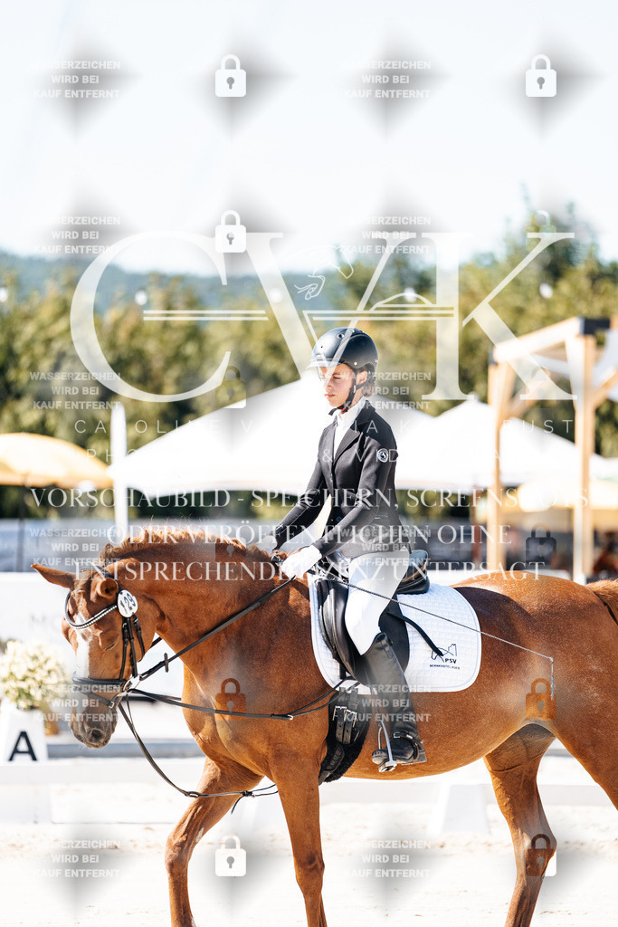 CK902270 | Turnierfotografie Pferdefotografie Trier Rheinland-Pfalz Pferdesport Reitsport Tierfotografie Sportfotografie Pferdevideo Pferdevideografie Equestrianvideography equestrianphotography  - Realisiert mit Pictrs.com