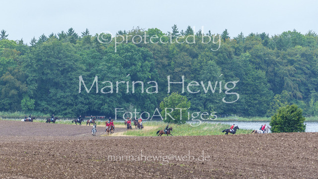 Jagd Kletkamp 26-02759_MarinaHewig | Fotografie, FotoArt, PferdesportArt, Pferdesportfotografie, Landschaftsfotografie, Reisefotografie, Reise, Pferde - Realisiert mit Pictrs.com