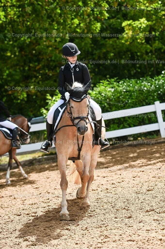 20230716_10-3_Reiter-WB Schritt - Trab - Galopp_0088 | equistock